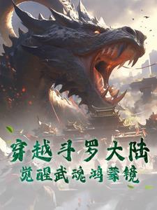 穿越斗罗大陆,觉醒武魂鸿蒙镜