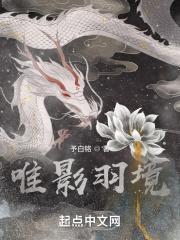 唯影羽境
